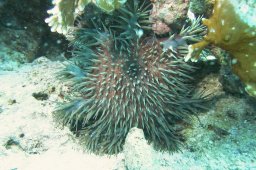 20020530_El_Aruk_0031